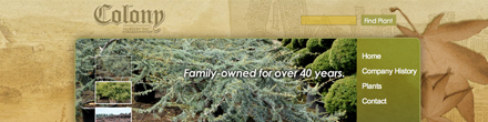 colony nursery website image