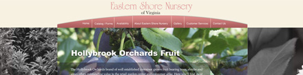 eastern shore nursery website image