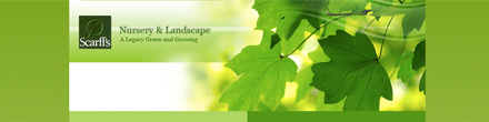 oregon nursery website image