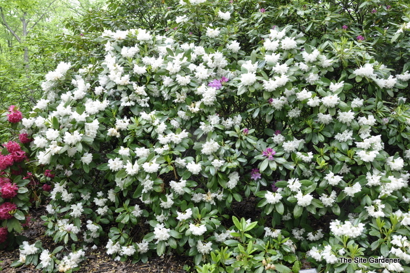 Go Back to Search Page | Powered by The Site Gardener