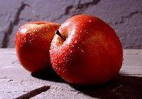 Malus domestica 'Red Fuji' — photo 2