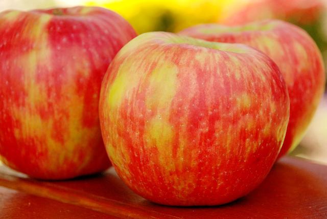 Malus domestica 'Honeycrisp'