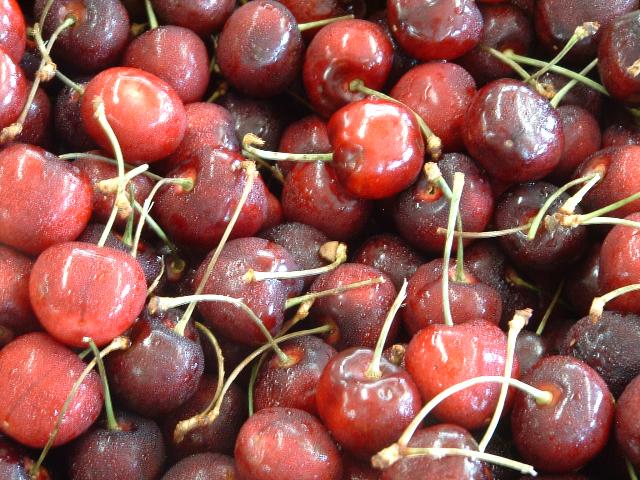 Prunus avium 'Bing'